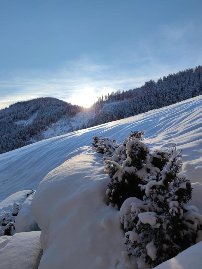 Batacoer - Natures Heartbeat San Vigilio Di Marebbe Kültér fotó
